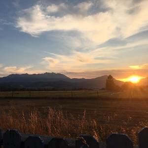 Meet your Posher, Elle